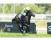  Carrera: P.Realeza Monta: V.Janacek Caballo: Abacur